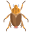 Beetle icon