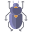 Beetle icon