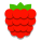 Raspberry icon