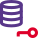 Secured Network authentication key Logotype isolated on a white background icon