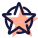 Army Star icon