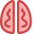 Cerebro icon