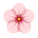 fleur de cerisier icon