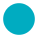 Filled Circle icon