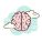 Brain icon