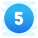 Circled 5 icon