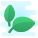 Cibo naturale icon