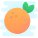 Orange icon