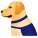 Cão guia icon