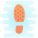 Sole icon