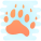 Bear Footprint icon