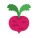 甜菜 icon