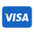 Visa icon