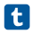 Tumblr icon