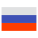 Russian Federation icon