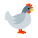 Chicken icon