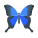 Mariposa icon