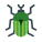 Insect icon