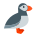 Puffin Bird icon
