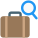 Find Baggage icon