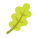 Oak Leaf icon