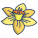 Daffodil icon