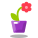 Orchidee icon