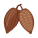 Cocoa icon