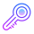 Password 1 icon