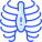 Ribs icon