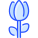 Tulip icon