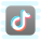 Tiktok icon