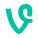 Vine icon