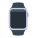 Apple Watch icon