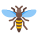 Hornet icon