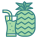 Pineapple Juice icon