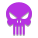 Punisher icon