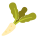 Oilseed Radish icon