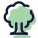 落葉樹 icon