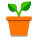 Растение в горшке icon