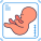 Ultrasound icon