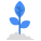 Growing Plant icon