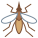 Mosquito icon