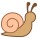 달팽이 icon