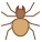 Spider icon