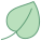 Leaf icon