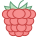 Raspberry icon