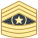 Command Sergeant Major CSM icon