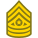 Command Sergeant Major CSM icon