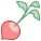 Radish icon